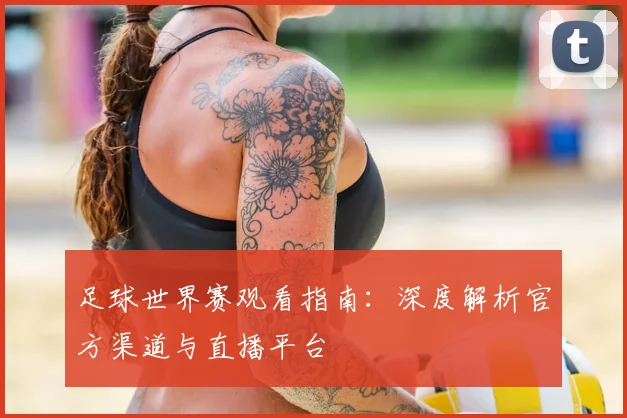 足球世界赛观看指南:深度解析官方渠道与直播平台